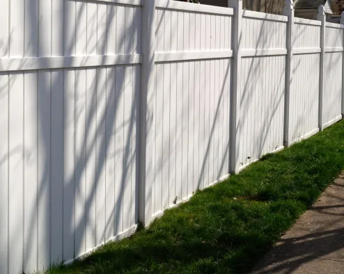 Image, Content, Services (1)