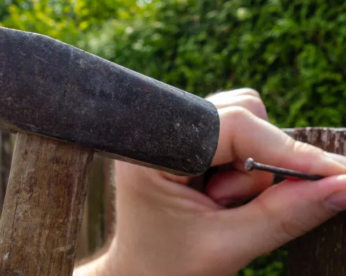 Image, Content, Services (2)