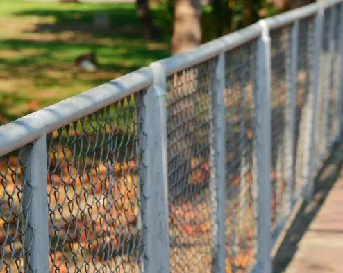 Image, Content, Services