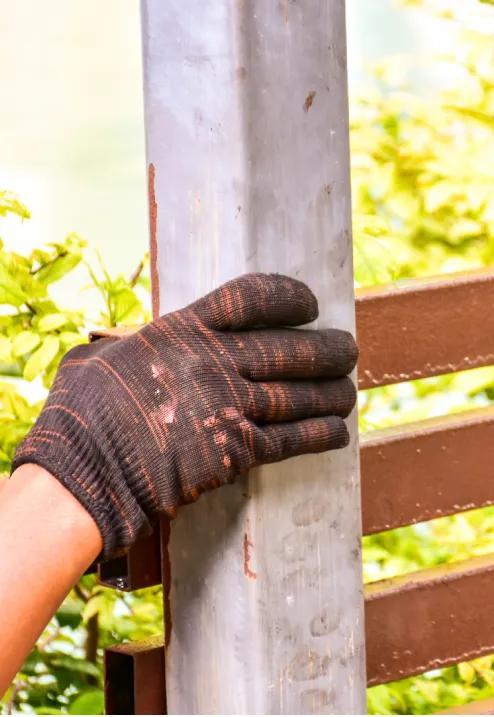 Media, Content, Bullet Points